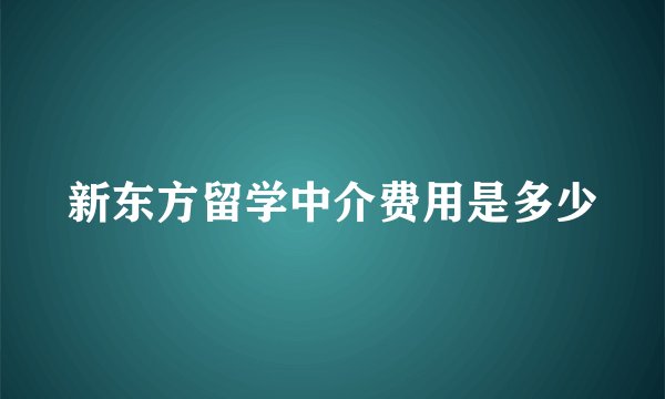 新东方留学中介费用是多少
