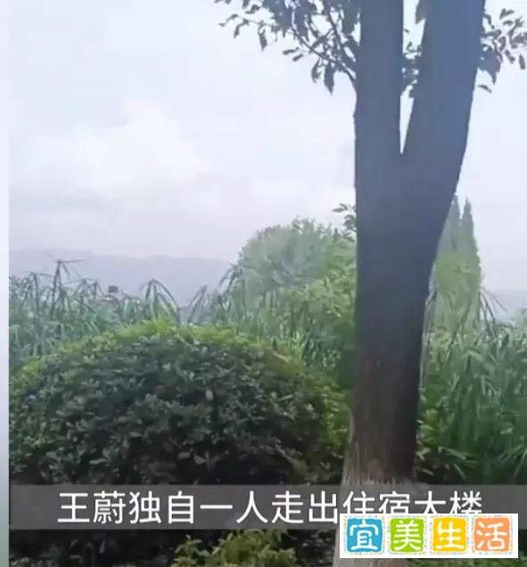 小伙离奇失踪半月，自称被仙人选中，将前往仙人世界！