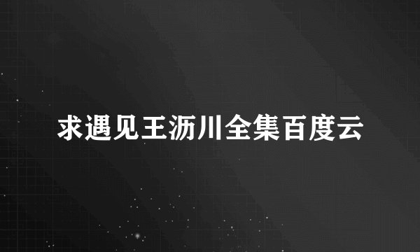 求遇见王沥川全集百度云