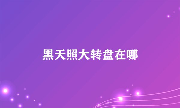 黑天照大转盘在哪