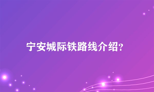 宁安城际铁路线介绍？