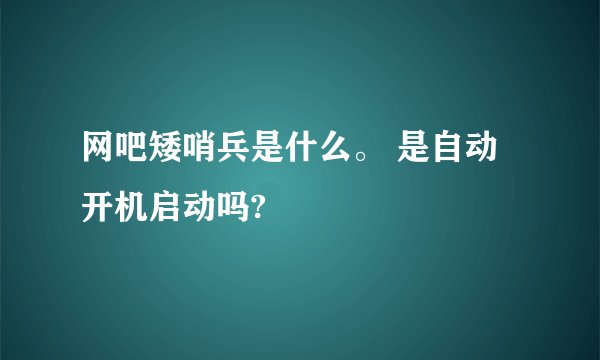 网吧矮哨兵是什么。 是自动开机启动吗?
