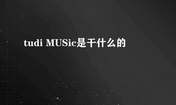 tudi MUSic是干什么的