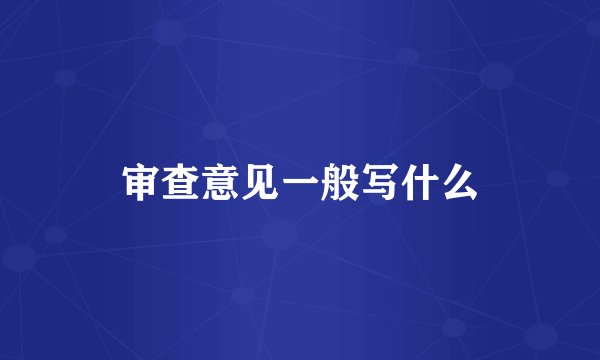审查意见一般写什么