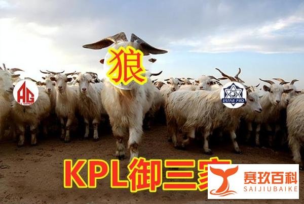 菲菲发新基地照片！网友评价：AG真有钱，成绩越差，基地越奢华！