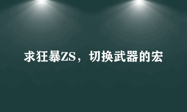 求狂暴ZS，切换武器的宏