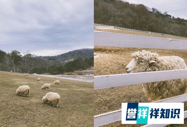 爱婴宝秀爱思奶粉配方怎么样？这种配置真的值358吗？
