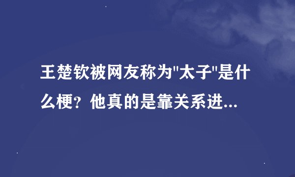 王楚钦被网友称为