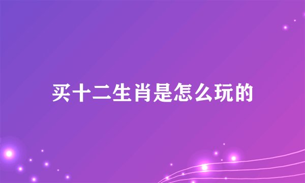 买十二生肖是怎么玩的