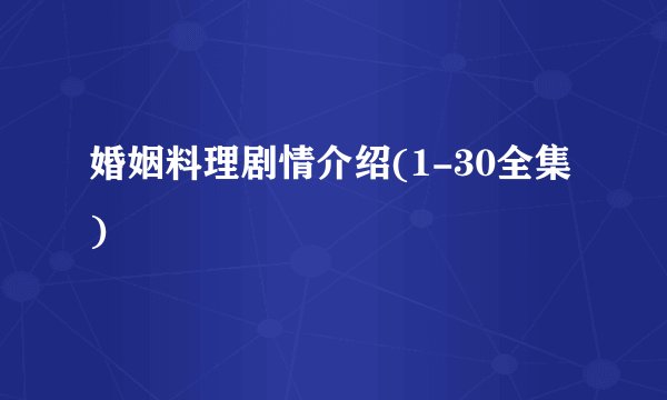 婚姻料理剧情介绍(1-30全集)