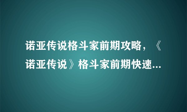 诺亚传说格斗家前期攻略，《诺亚传说》格斗家前期快速提升攻略