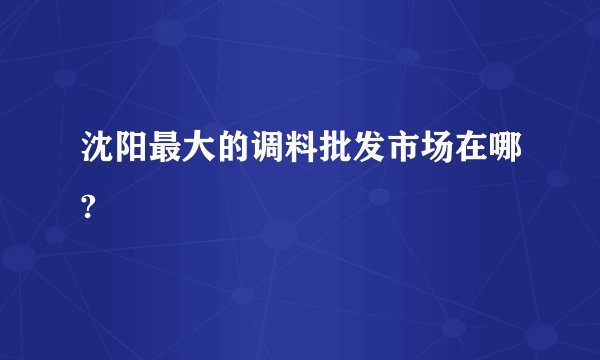 沈阳最大的调料批发市场在哪?