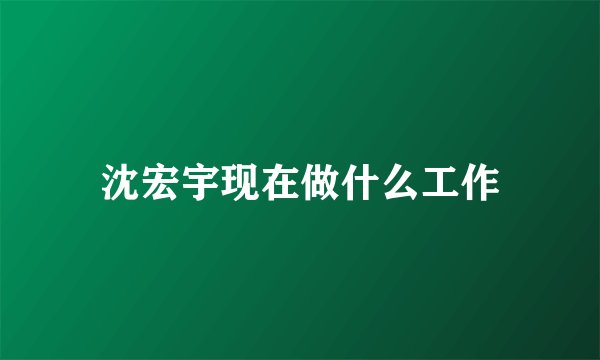 沈宏宇现在做什么工作