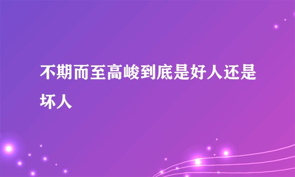不期而至高峻到底是好人还是坏人