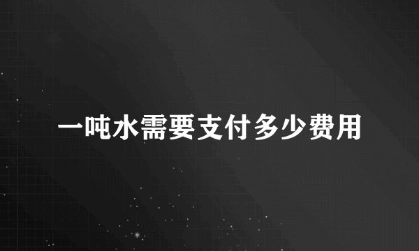 一吨水需要支付多少费用