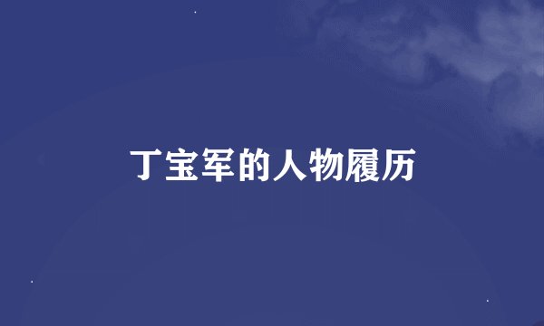 丁宝军的人物履历
