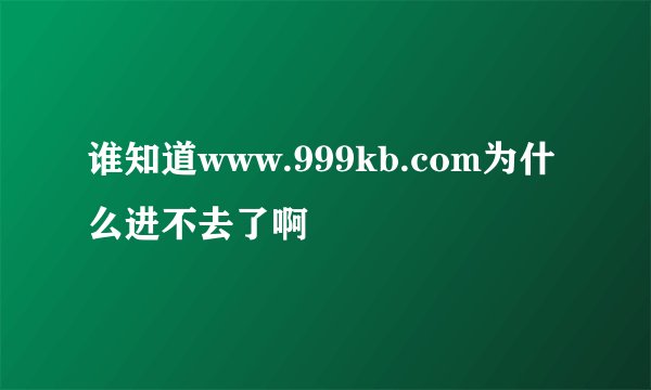 谁知道www.999kb.com为什么进不去了啊