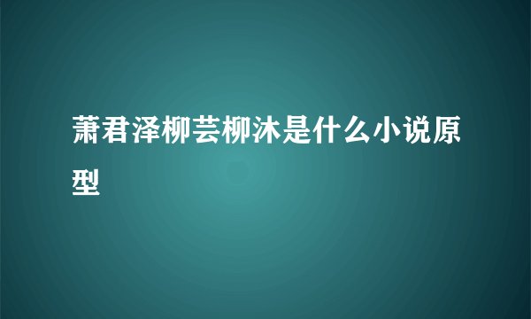 萧君泽柳芸柳沐是什么小说原型