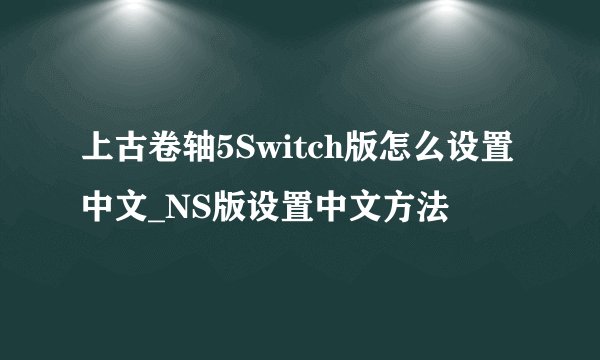上古卷轴5Switch版怎么设置中文_NS版设置中文方法
