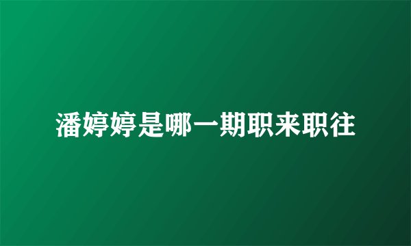 潘婷婷是哪一期职来职往