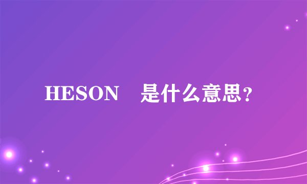 HESON 是什么意思？
