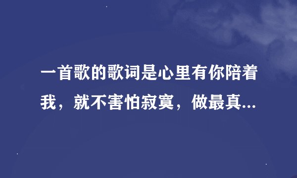 一首歌的歌词是心里有你陪着我，就不害怕寂寞，做最真实的我，心里有你陪着我就不需要理由...........