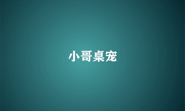 小哥桌宠