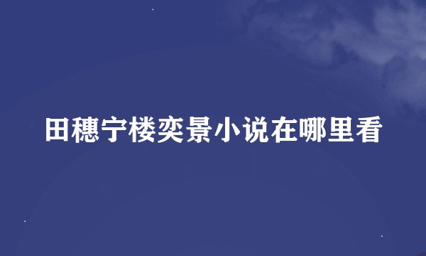 田穗宁楼奕景小说在哪里看
