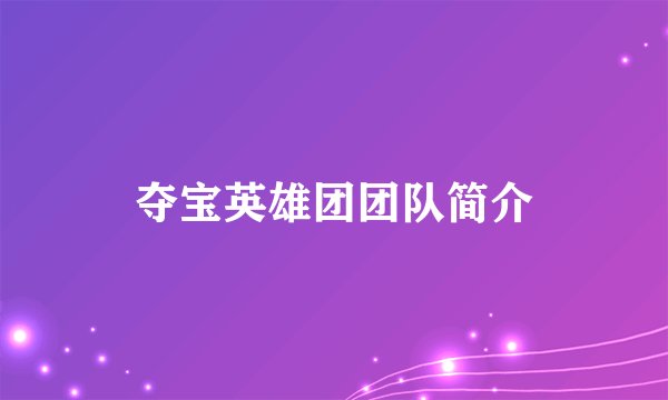 夺宝英雄团团队简介