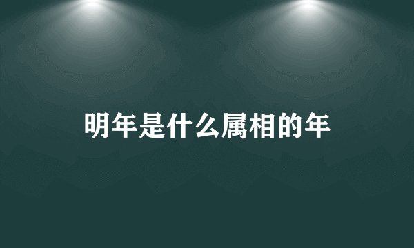 明年是什么属相的年