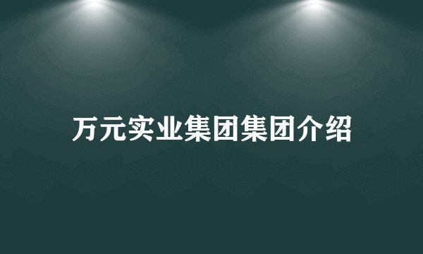 万元实业集团集团介绍