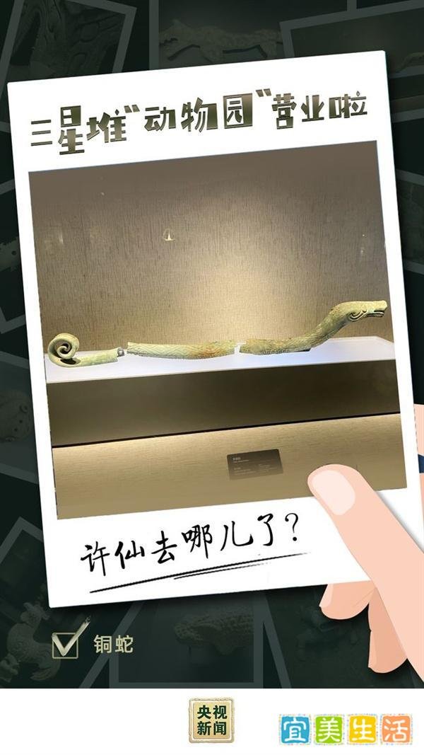 三星堆“动物园”营业啦 这是咋情况？