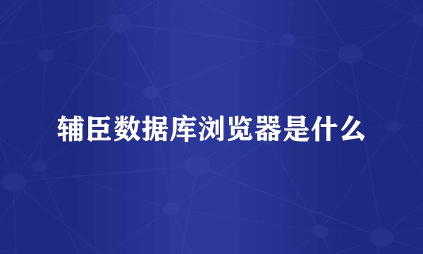 辅臣数据库浏览器是什么