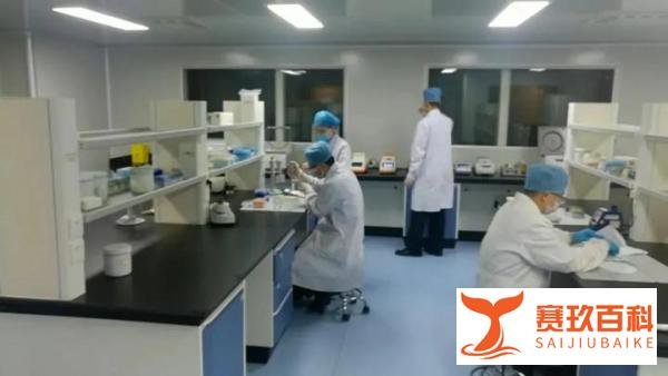 杭州杀妻分尸案一审开庭(附破案经过及分尸细节)