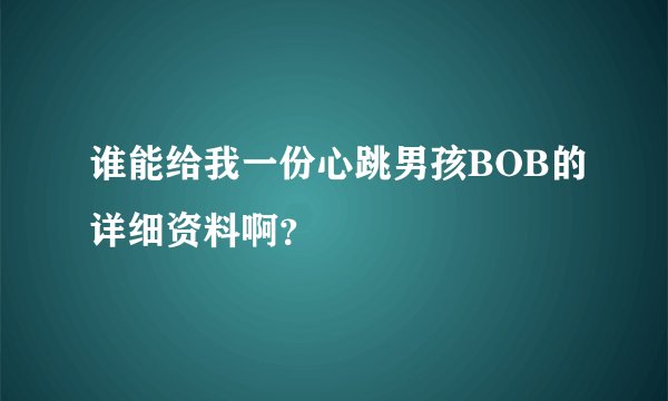 谁能给我一份心跳男孩BOB的详细资料啊？