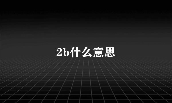 2b什么意思