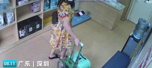 名贵猫王后代被医院误做绝育，医院称客户没交代清楚不算医疗事故
