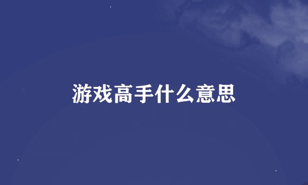 游戏高手什么意思
