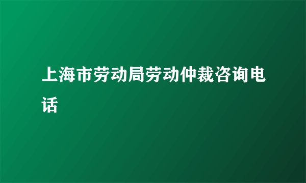 上海市劳动局劳动仲裁咨询电话