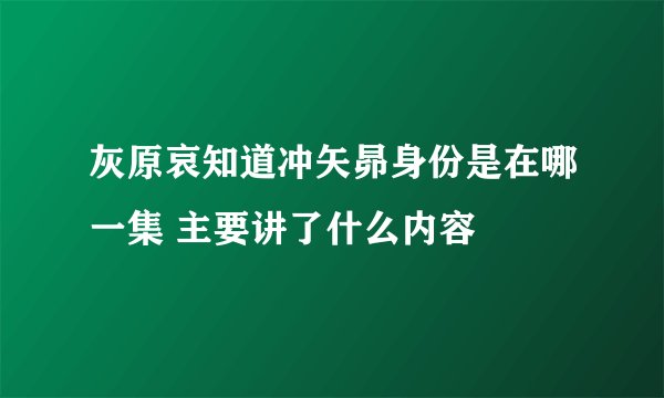 灰原哀知道冲矢昴身份是在哪一集 主要讲了什么内容