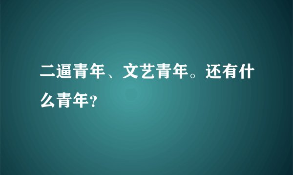 二逼青年、文艺青年。还有什么青年？