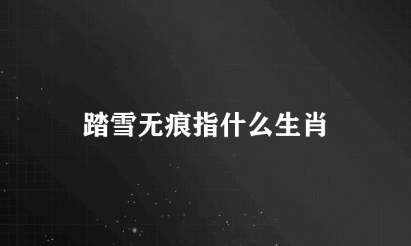 踏雪无痕指什么生肖