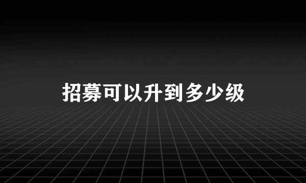 招募可以升到多少级