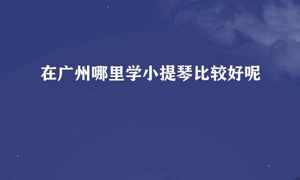 在广州哪里学小提琴比较好呢