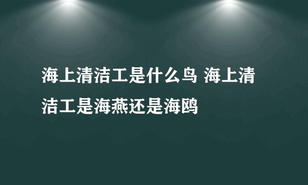 海上清洁工是什么鸟 海上清洁工是海燕还是海鸥