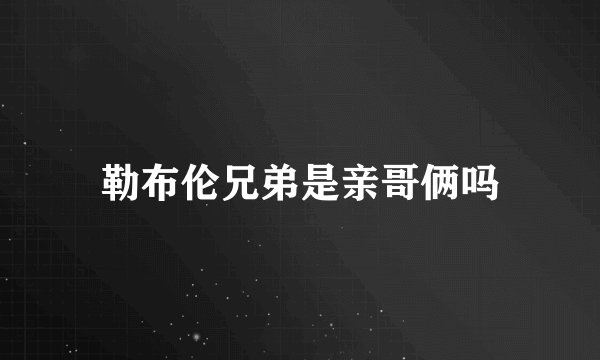勒布伦兄弟是亲哥俩吗