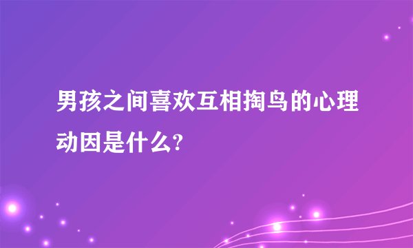 男孩之间喜欢互相掏鸟的心理动因是什么?