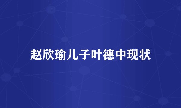 赵欣瑜儿子叶德中现状