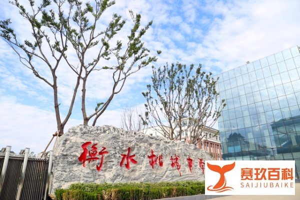 衡水某中学“变态”管理致学生抑郁，写万字控诉，教育局：严查！