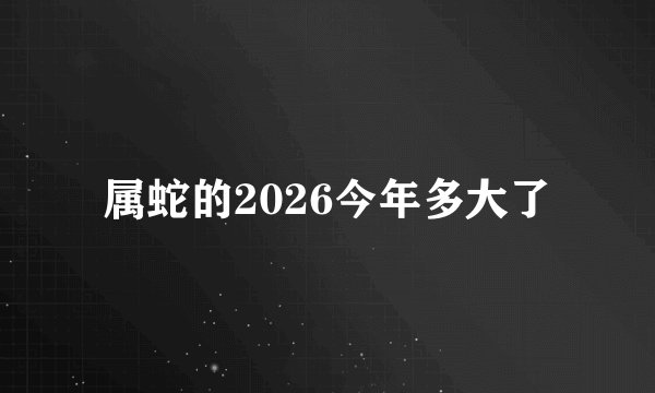 属蛇的2026今年多大了